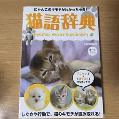 Item thumbnail for item 09eec6d5-04c8-4149-b304-e6166e98f5a6