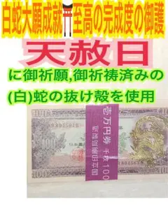 百円✨ドラゴン✨梟✨白蛇のお守り【天赦日ご祈祷】Bのサムネイル