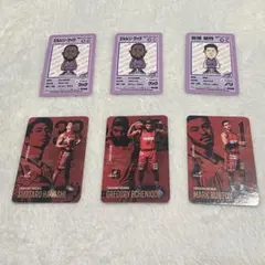 福島ファイヤーボンズ トレカ5種セットのサムネイル