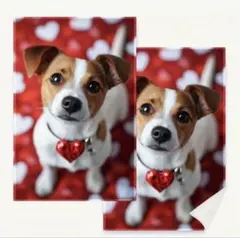 Item thumbnail for item e22535ba-5ff8-4ee2-9f6d-724db20b75e4