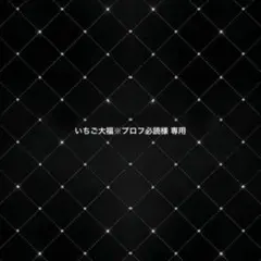 いちご大福※プロフ必読様 専用