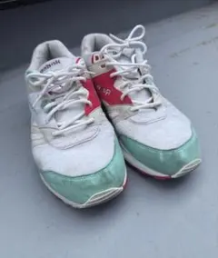 Reebok Ventilator Footpatrol 28センチ リーボックのサムネイル