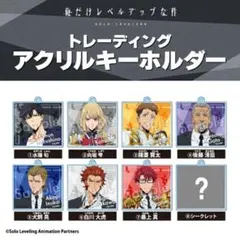未開封 俺だけレベルアップな件 あみあみ特典付き トレーディング