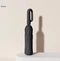 Item thumbnail for item 0f4e5628-22bc-4660-8bda-5d82dfd69f28