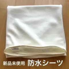 Item thumbnail for item 6ac60edf-31af-404d-be5c-eab96c1e7910