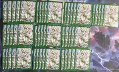 Item thumbnail for item 10673041-9dd4-4fa8-b56e-d66bb4a6d285