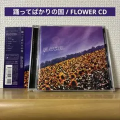 2026年最新】踊って 踊ってばかりの国の人気アイテム - メルカリ