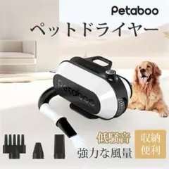 Item thumbnail for item 86183ed1-cb6e-40a1-91f8-76563f643d35