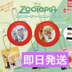 ズートピア ブリスターチャームコレクション ブリスターチャーム