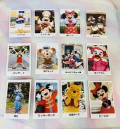ポーズカード　ディズニー　フォトラウンド　披露宴　結婚式　オーダーメイド