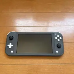 Switchライト2台　ジャンク品 ニンテンドースイッチライト 2台 ジャンク品