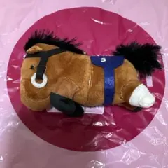 チェルヴィニア ちょこがけ ラウワン限定 サラコレ