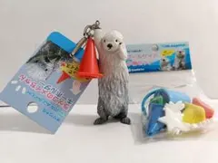 2026年最新】鳥羽水族館 キラ メイの人気アイテム - メルカリ