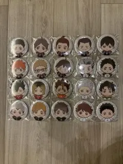 セガラッキーくじ ハイキュー E賞 缶バッジ 20種セット コンプリート