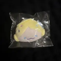 JOCHUM もこ シークレットブローチ