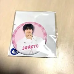 TREASURE はぴだんぶい カフェ 缶バッジ ジュンギュ