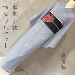 絽 紗 夏着物 カラー 156 華麗なる美 小紋 フルセット 銀彩 飛び柄 夏5 