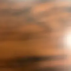 meisa様専用ページ