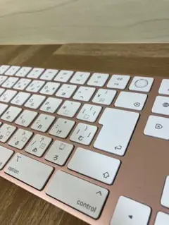 Apple Magic Keyboard Touch ID ピンク レッド