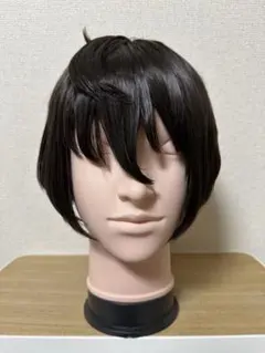 あんさんぶるスターズ!! / 朔間 凛月 / ウィッグ
