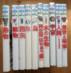 9冊 小学館の図鑑 学研の図鑑 講談社の動く図鑑 まとめ販売 - メルカリ