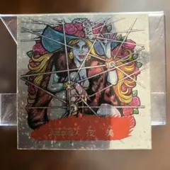 cpbi2gucb様 リクエスト 2点 まとめ商品