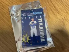 ブリスター風アクリルキーホルダー　東