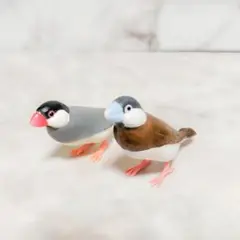 シャイング カプセルトイ 文鳥コレクション ノーマル チモール 2羽セット
