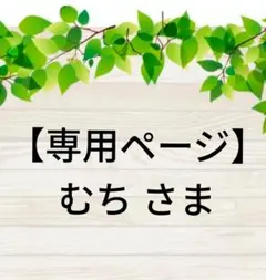 【専用ページ】むちさま