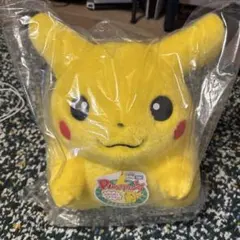 ポケモン30周年記念　おかえり！ピカチュウ 1/1