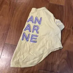 マンダリンブラザーズ　Tシャツ　XL