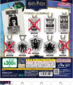 ハリーポッター アクリルチャームコレクション
