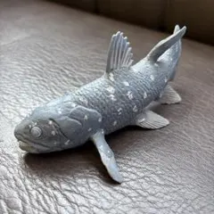 ★レア ★美品 Safari サファリ シーラカンス フィギュア 模型 古代魚のサムネイル