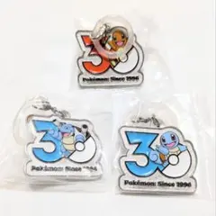 ポケモン30周年メタルチャームマスコット ゼニガメ カメックス ヒトカゲ
