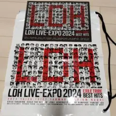 LDH LIVE EXPO 2024 クリアファイル黒のみ　ビニールバッグセット