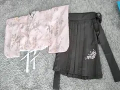 Item thumbnail for item c42e8a28-0804-43a0-88fa-50f1698b4a0d