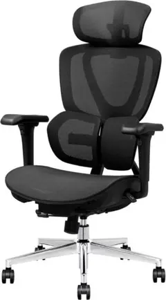 FLEXISPOT オフィスチェア デスクチェア C8 人間工学 エルゴノミクス