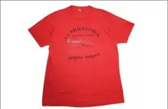 【XL】 80's SCREEN STARS Tシャツ USA製 IB436