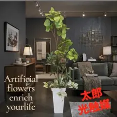 光触媒 人工観葉植物 ウォールグリーン フェイクグリーン シーグレープ