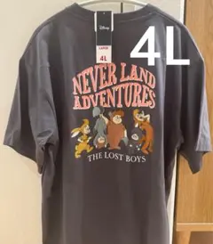 Disney ピーターパン ロストキッズ Tシャツ 4L 刺繍