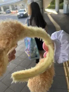 クッキーアン　カチューシャ　ディズニー　女子デートディズニーでつけました