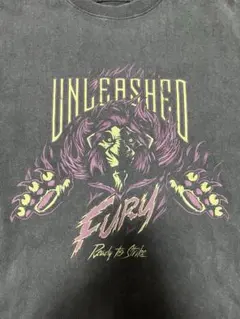 ディズニーDisney Villains スカーTシャツピグメント