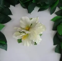 フラダンス髪飾り　ホワイトグラジオラス　ヘアクリップ