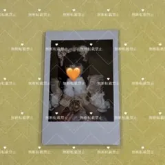 iLiFE! 小熊まむ 生誕祭 ランチェキ