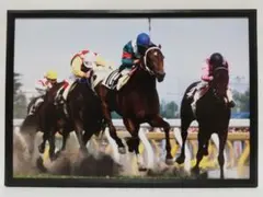 Item thumbnail for item a8ebd67b-81d2-47cb-ac4e-0525db334319