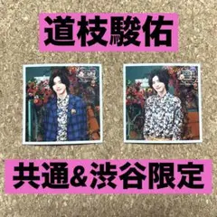 なにわ男子 ましかくフォト Classic 道枝駿佑 2枚セット