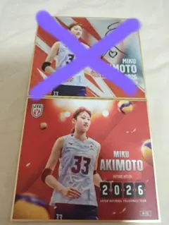 バレーボール女子日本代表2026 トレーディングmini色紙 山田二千華