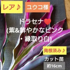 ユウコ様 リクエスト 2点 まとめ商品