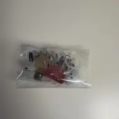 PEANUTS めじるしアクセサリー FUNNY ver.　4種セット