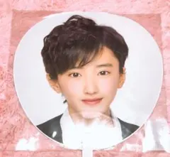 道枝駿佑 うちわ  あけおめ【激レア美品】